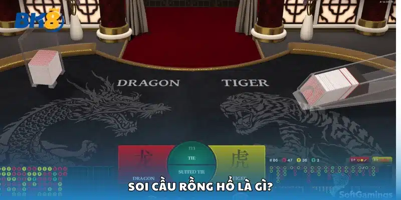 Thông tin cơ bản về soi cầu Rồng Hổ