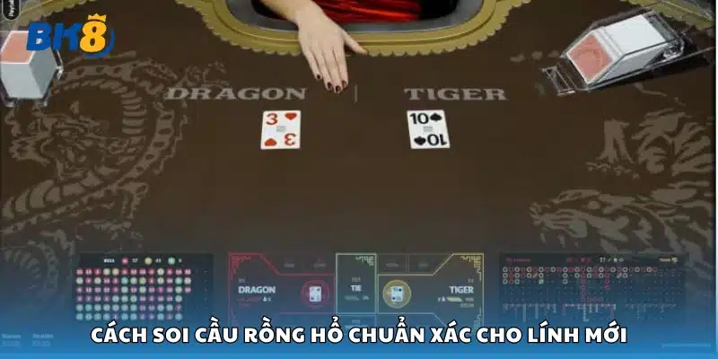 Chi tiết cách soi cầu Rồng Hổ chuẩn xác cho lính mới