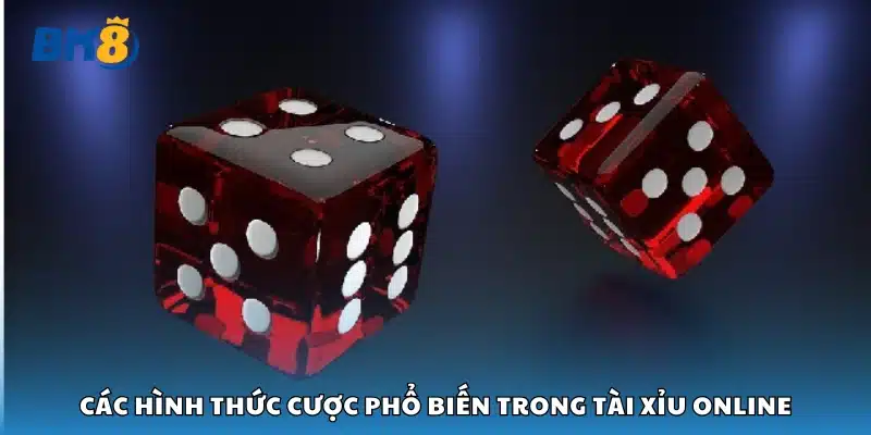 Một số hình thức cược phổ biến trong tài xỉu online