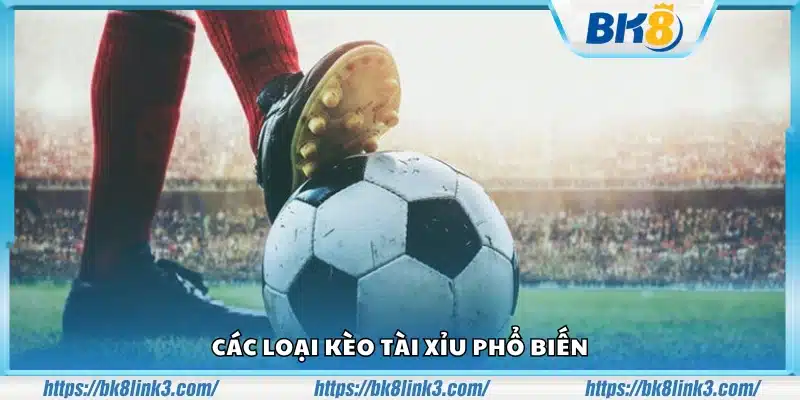 Phân loại kèo Tài Xỉu phổ biến nhất hiện nay